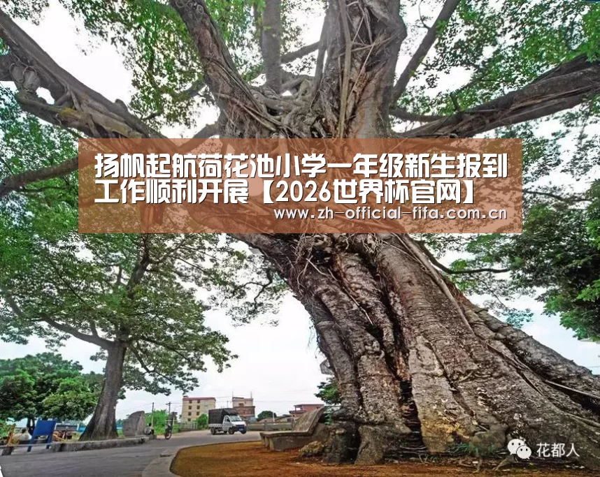 扬帆起航荷花池小学一年级新生报到工作顺利开展【2026世界杯官网】(图1) 世界杯买球
