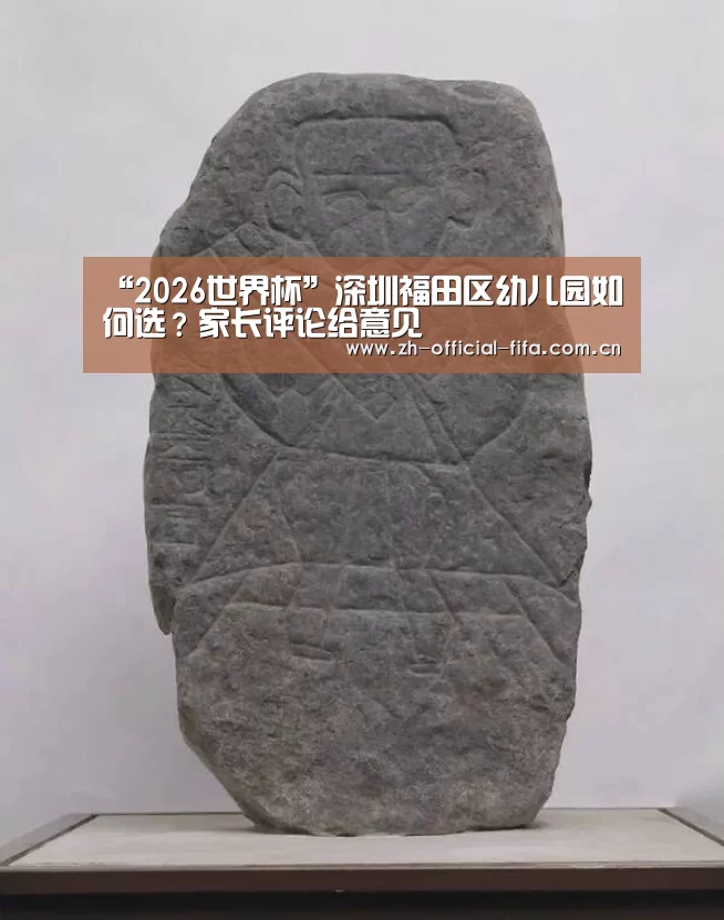 “2026世界杯”深圳福田区幼儿园如何选?家长评论给意见(图4) 2026世界杯官网