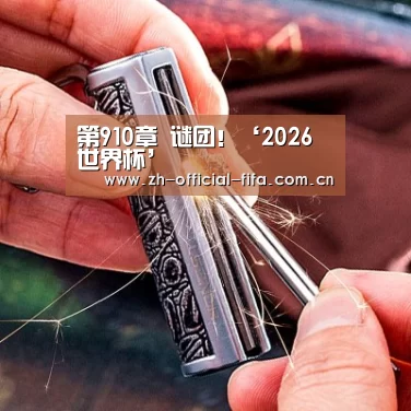 2026世界杯官网