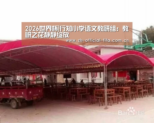 2026世界杯|行知小学语文教研组:教研之花静静绽放(图2) 2026世界杯